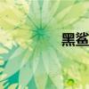 黑鯊5Pro游戲發熱嚴重嗎