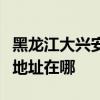 黑龍江大興安嶺可提供每時樂加濕器維修服務地址在哪