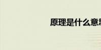 原理是什么意思?