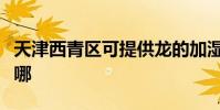 天津西青區可提供龍的加濕器維修服務地址在哪