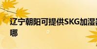 遼寧朝陽可提供SKG加濕器維修服務地址在哪