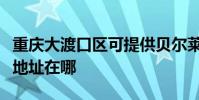 重慶大渡口區可提供貝爾萊德加濕器維修服務地址在哪