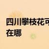 四川攀枝花可提供艾美特電風扇維修服務地址在哪
