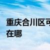 重慶合川區可提供榮事達電風扇維修服務地址在哪