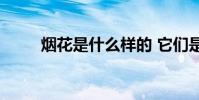煙花是什么樣的 它們是什么樣的?