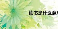 讀書是什么意思?