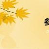 參觀哪些填空名詞？