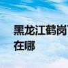 黑龍江鶴崗可提供SKG電風扇維修服務地址在哪