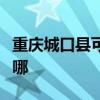 重慶城口縣可提供格力電暖器維修服務地址在哪