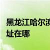 黑龍江哈爾濱可提供艾美特電暖器維修服務地址在哪