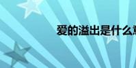 愛的溢出是什么意思?