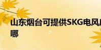 山東煙臺可提供SKG電風扇維修服務地址在哪