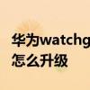 華為watchgt3怎么升級鴻蒙 華為watchGT3怎么升級 