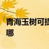 青海玉樹可提供榮事達電暖器維修服務地址在哪