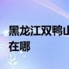 黑龍江雙鴨山可提供志高電暖器維修服務地址在哪