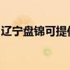 遼寧盤錦可提供賽億電暖器維修服務地址在哪