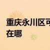 重慶永川區可提供澳柯瑪電暖器維修服務地址在哪