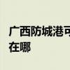 廣西防城港可提供澳柯瑪電暖器維修服務地址在哪