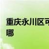 重慶永川區可提供賽億電暖器維修服務地址在哪