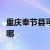 重慶奉節縣可提供志高電暖器維修服務地址在哪