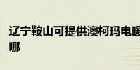 遼寧鞍山可提供澳柯瑪電暖器維修服務地址在哪