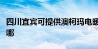 四川宜賓可提供澳柯瑪電暖器維修服務地址在哪