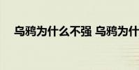 烏鴉為什么不強 烏鴉為什么上不了比賽