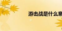 游擊戰是什么意思?