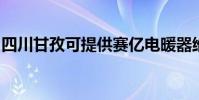 四川甘孜可提供賽億電暖器維修服務地址在哪