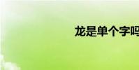 龍是單個字嗎?