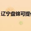 遼寧盤錦可提供TCL電暖器維修服務地址在哪