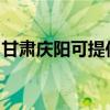 甘肅慶陽可提供康佳電暖器維修服務地址在哪