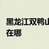 黑龍江雙鴨山可提供康佳電暖器維修服務地址在哪