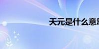 天元是什么意思?