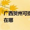 廣西賀州可提供澳柯瑪飲水設備維修服務地址在哪