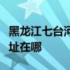 黑龍江七臺河可提供康寶飲水設備維修服務地址在哪