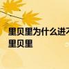 里貝里為什么進不了歐洲杯國家隊 2016歐洲杯 為什么沒有里貝里 
