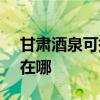 甘肅酒泉可提供SKG飲水設備維修服務地址在哪
