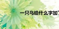一只鳥給什么字加了一筆?