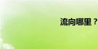 流向哪里?