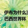 伊布為什么沒進巴西世界杯 伊布為什么沒 進巴西世界杯 
