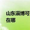 山東淄博可提供SKG飲水設備維修服務地址在哪