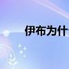 伊布為什么能受歡迎 伊布為什么貴 