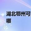 湖北鄂州可提供SKG榨汁機維修服務地址在哪