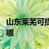 山東萊蕪可提供艾美特榨汁機維修服務地址在哪