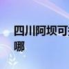 四川阿壩可提供SKG榨汁機維修服務地址在哪