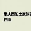 重慶酉陽土家族苗族自治縣可提供康佳榨汁機維修服務地址在哪