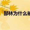 郜林為什么被踢出國家隊 郜林為什么停賽 
