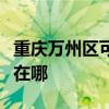 重慶萬州區可提供艾美特榨汁機維修服務地址在哪