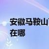 安徽馬鞍山可提供SKG榨汁機維修服務地址在哪
